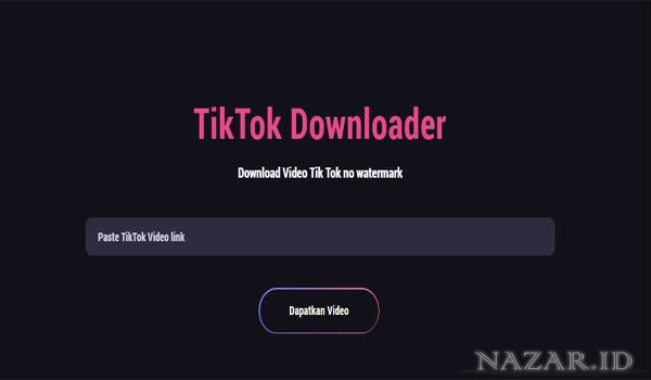 Review Video Tiktok Downloader