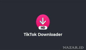 Tiktok Downloader